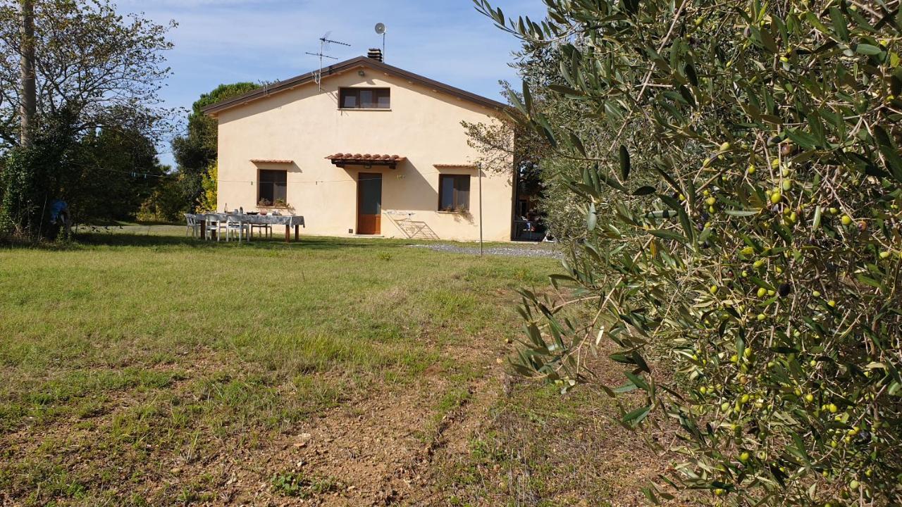 La Ripa Del Drago Villa Bibbona Exterior photo