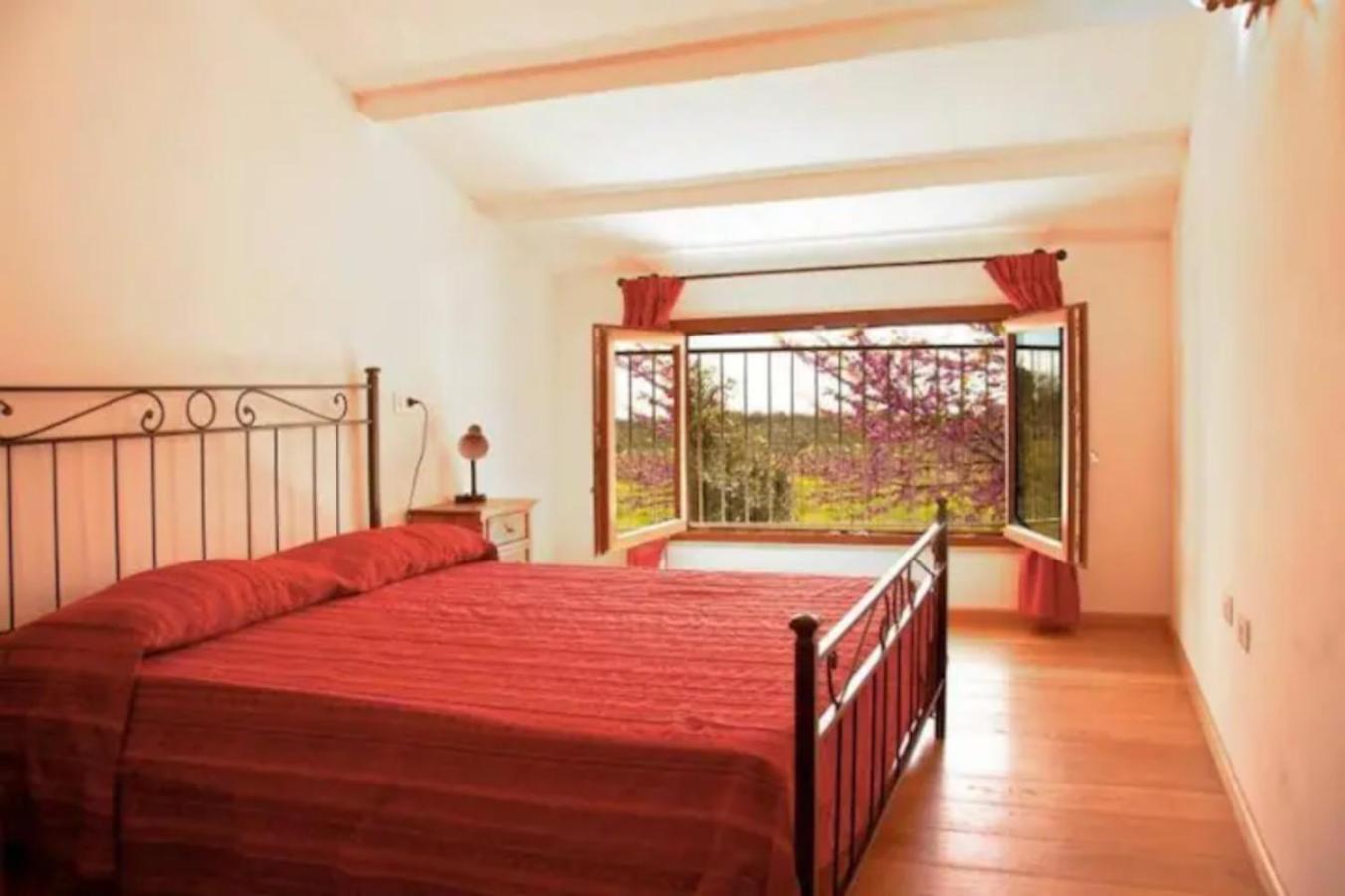 La Ripa Del Drago Villa Bibbona Exterior photo